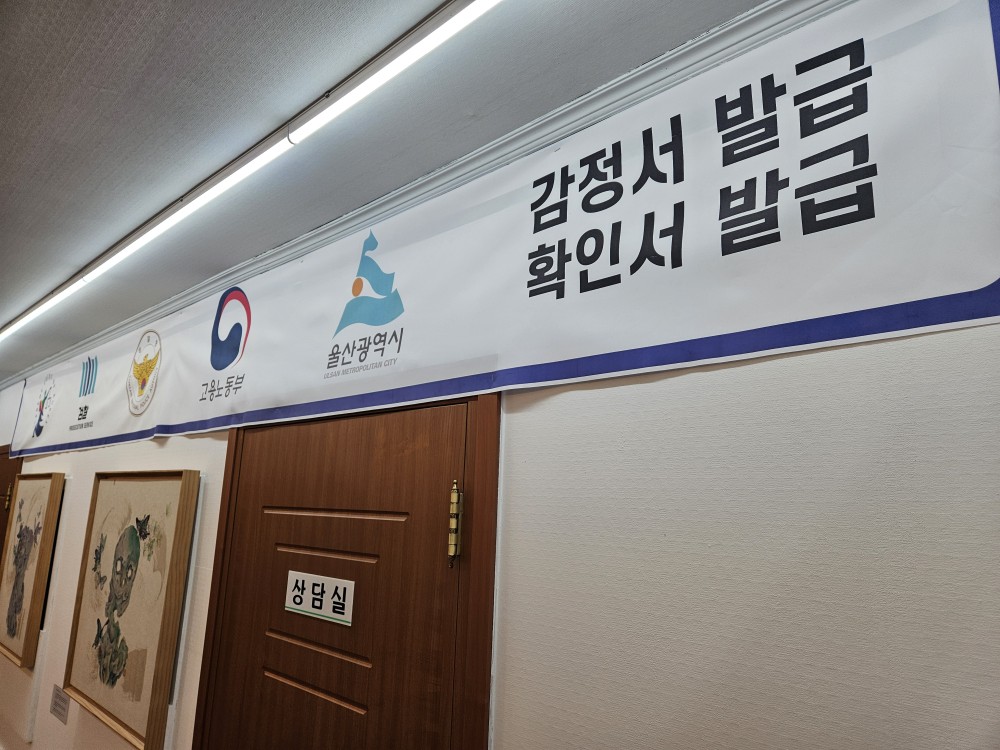 3067302113_3fOICUgs_d0980a20835eedfde4b18591938006e9757fc264.jpg 이미지크게보기